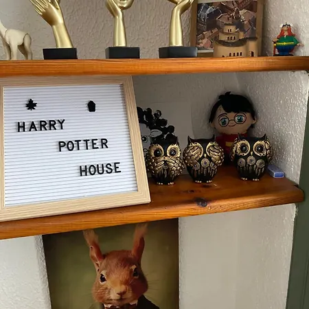 Chez Harry Potter, Vacances & Week-Ends, Anniversaires, Noel & Halloween * Bagnères-de-Luchon